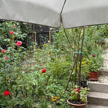 Holiday home Bosnian *